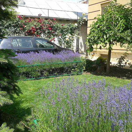 Frühstückspension Casa Edwin 3*