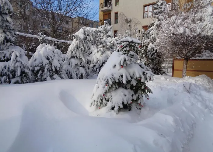 Casa Edwin B&B Constanţa